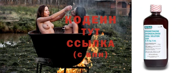 стаф Иннополис