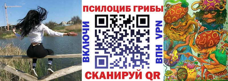 Купить где  Пятигорск  Псилоцибиновые грибы Cubensis 